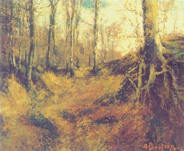 Waldlandschaft - view 1