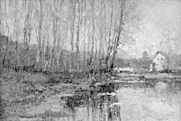 Wooded Landscape, Belgium - view 1