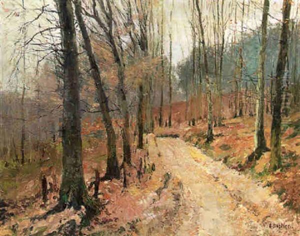 Wooded Winter Landscape With A Deserted Road Running Through - view 1