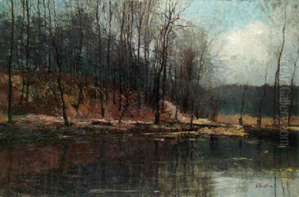At The Edge Of A Lake, Early Winter - view 1