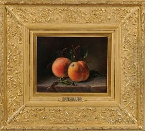 Two Peaches And A Fly