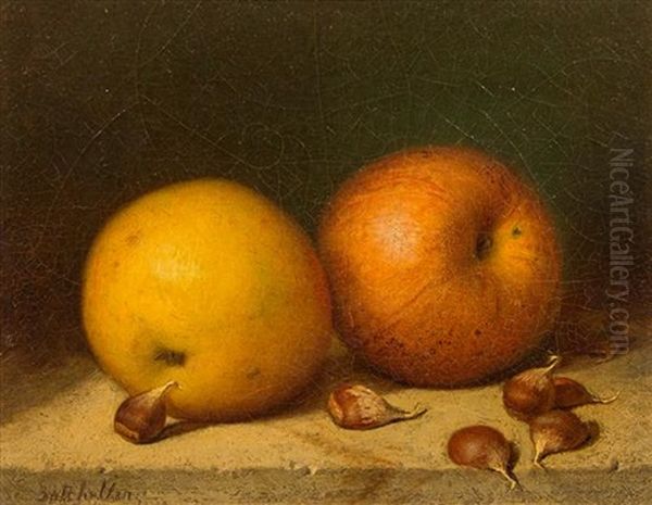 Still Life With Apples And Garlic - view 1