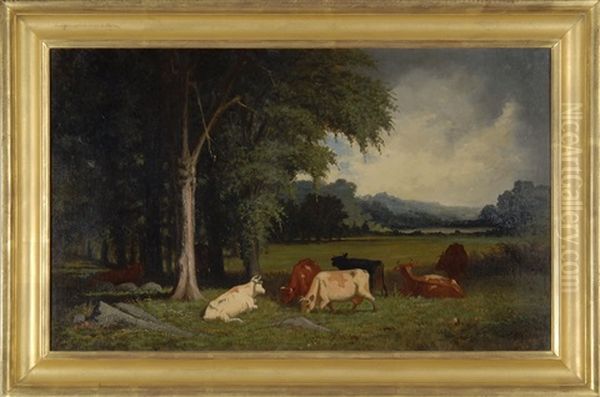 Cattle In A Meadow - view 1