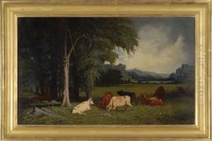 Cattle In A Meadow
