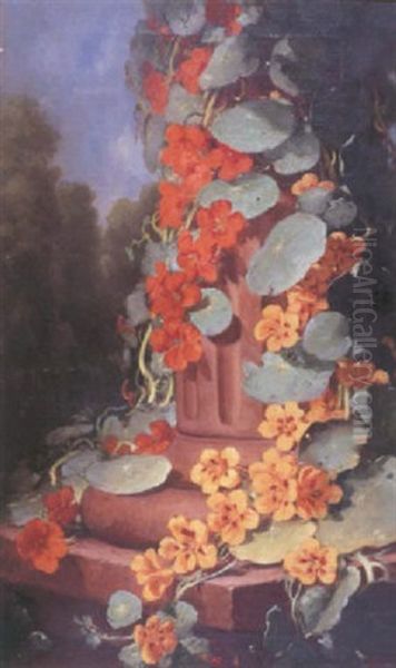 Nasturtium - view 1