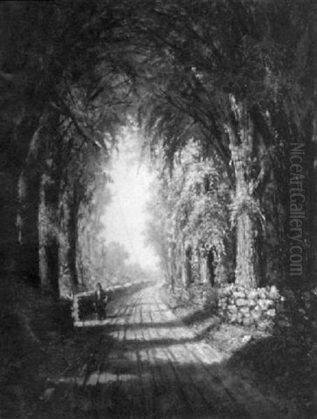 Along A Country Road - view 1