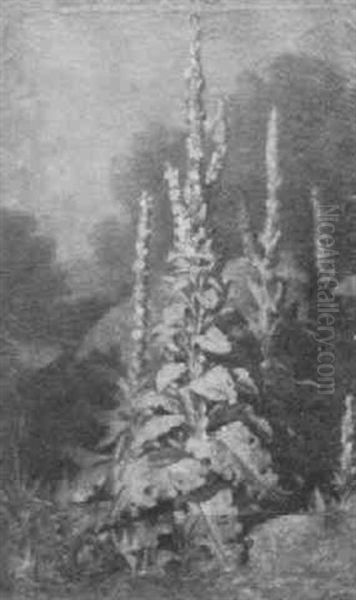 Goldenrod - view 1