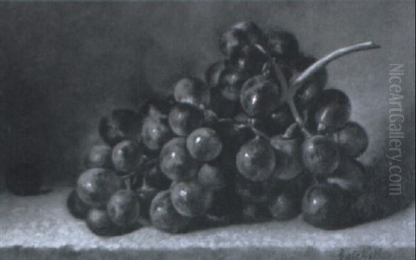 Still Life With Grapes - view 1