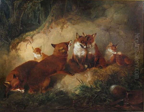 Six Foxes, One With Tail Lost In Trap - view 1