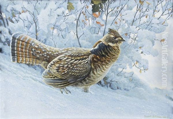 Fresh Snowfall - Ruffed Grouse - view 1