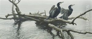 Great Cormorants by Robert Bateman