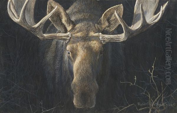 Moose - view 1