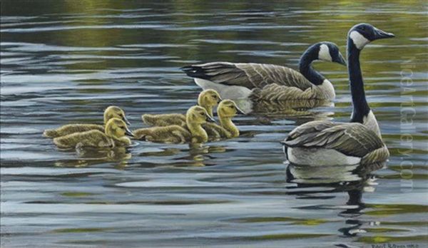 Canada Geese With Young - view 1