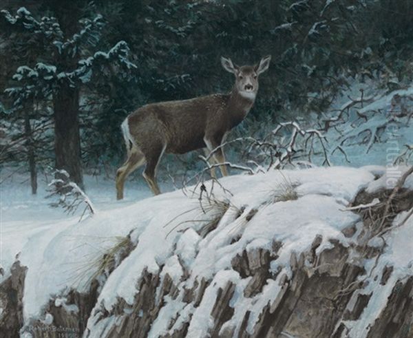 Mule Deer - view 1