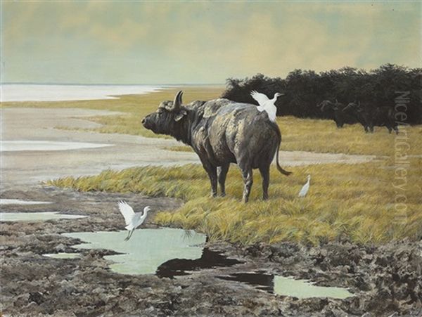 Buffalo With Cattle Egrets - view 1