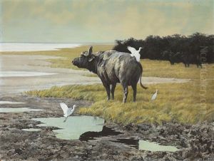 Buffalo With Cattle Egrets