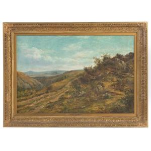 Extensive Landscape Extensive Landscape