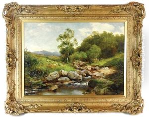 In Glen Malin, Study Of A Scotch Burn In Glen Malin, Study Of A Scotch Burn