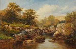 In The Lledr Valley, Fisherman At A Pool