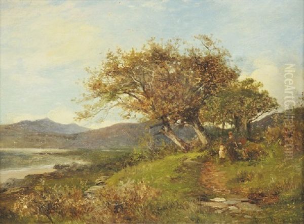 View Between Barmouth And Dalgelly - view 1