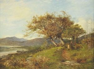 View Between Barmouth And Dalgelly
