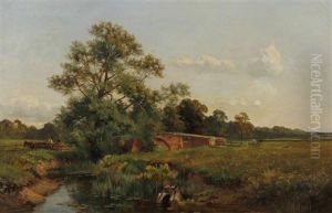 In Wistow Park, Leicestershire In Wistow Park, Leicestershire