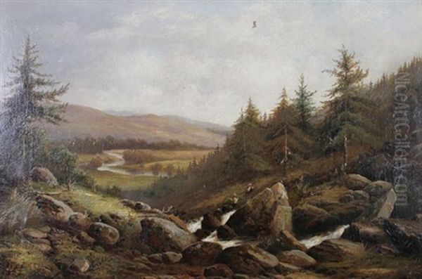 Near Bettws-y Coed - view 1