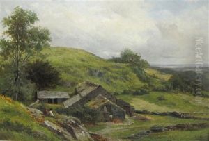 Farm Cottage Near Budel Wyddan by David Bates