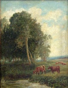 In The Meadow by David Bates
