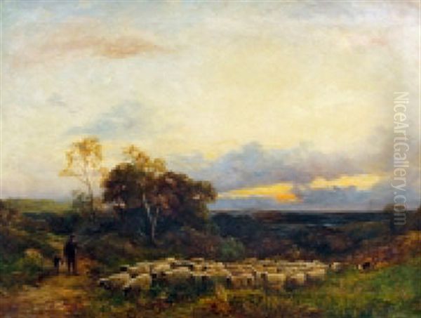 Collecting The Flock - view 1