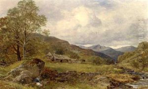 A Tributary To The Lledr, Above Dolwyddelen A Tributary To The Lledr, Above Dolwyddelen