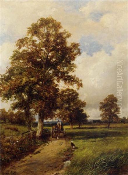 The Road Through The Meadows - view 1