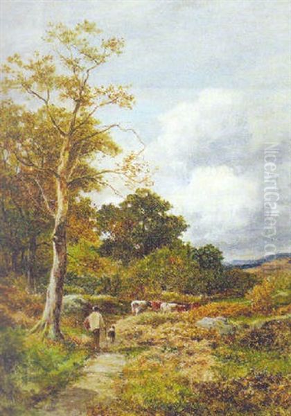 Road Through The Wood, Capel Curig - view 1