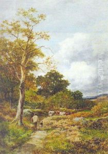 Road Through The Wood, Capel Curig