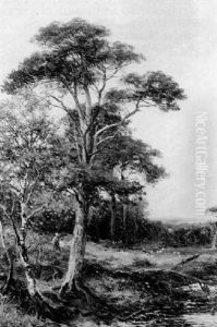 In The New Forest, Figures Walking Towards A Pond, Sheep Beyond