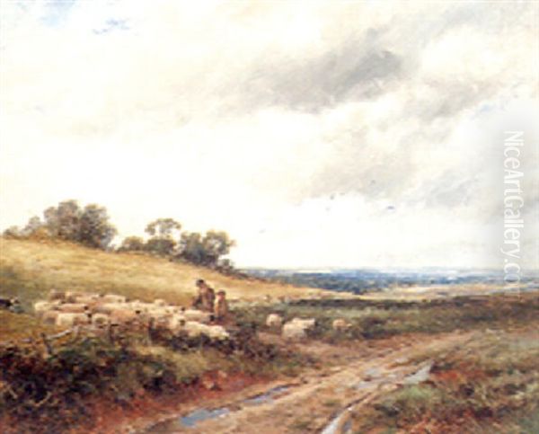 Returning Home With The Flock - view 1