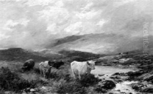 In Glen Malin, Dumbrtonshire - Rising Mists