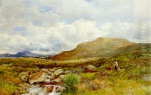 Moorland, Ogwen Valley, Capel Curig by David Bates