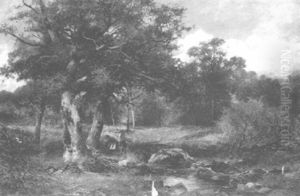 Gathering Wood