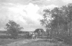 Across A Moor