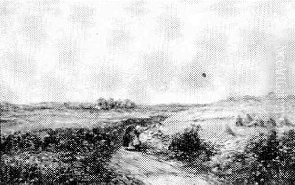 An Oatfield Near Llandiloy - view 1