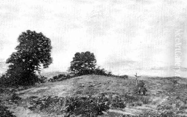Near Llandiloy - view 1