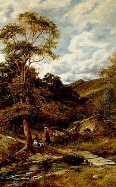 A Mountain Pathway - view 1