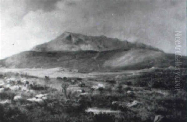 Moel Siabod - view 1