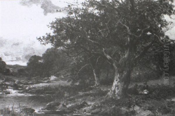 By The Stream - view 1