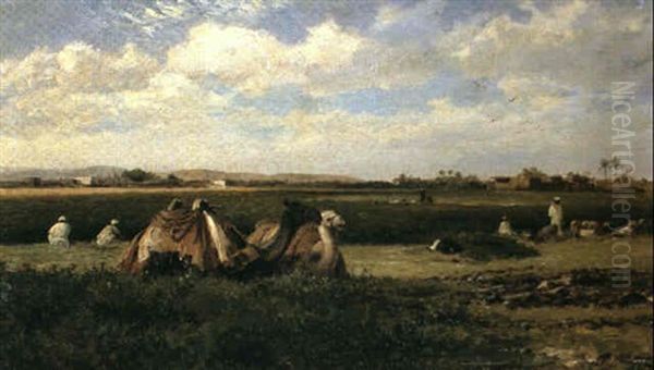 The Clover Crop, Egypt - view 1