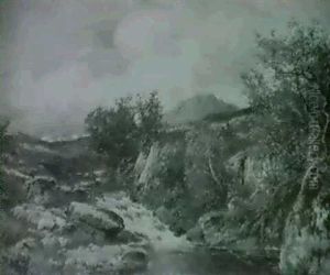 The Upper Machno - A Tributary Of The Conway