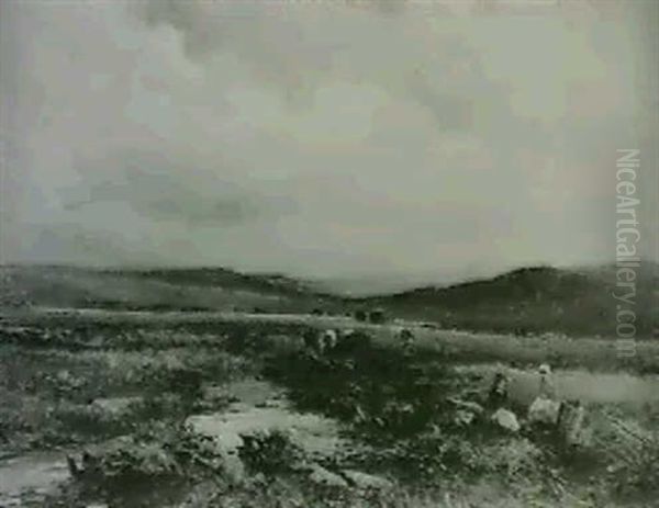 Pencraig Moor; Bettws-y-coed - view 1