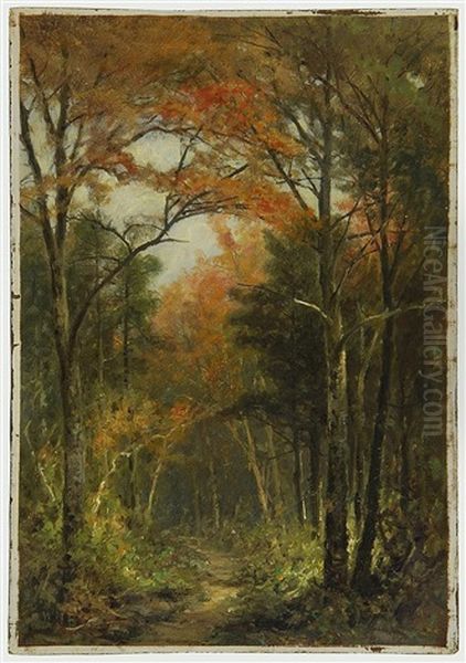 Forest Road - view 1