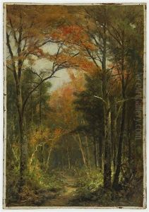 Forest Road Forest Road
